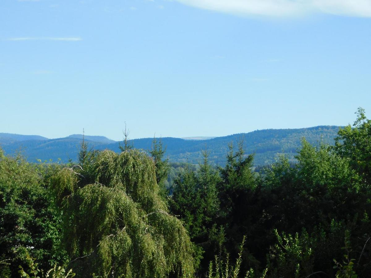 L'Amandaure Bed and Breakfast Saulcy-sur-Meurthe Buitenkant foto