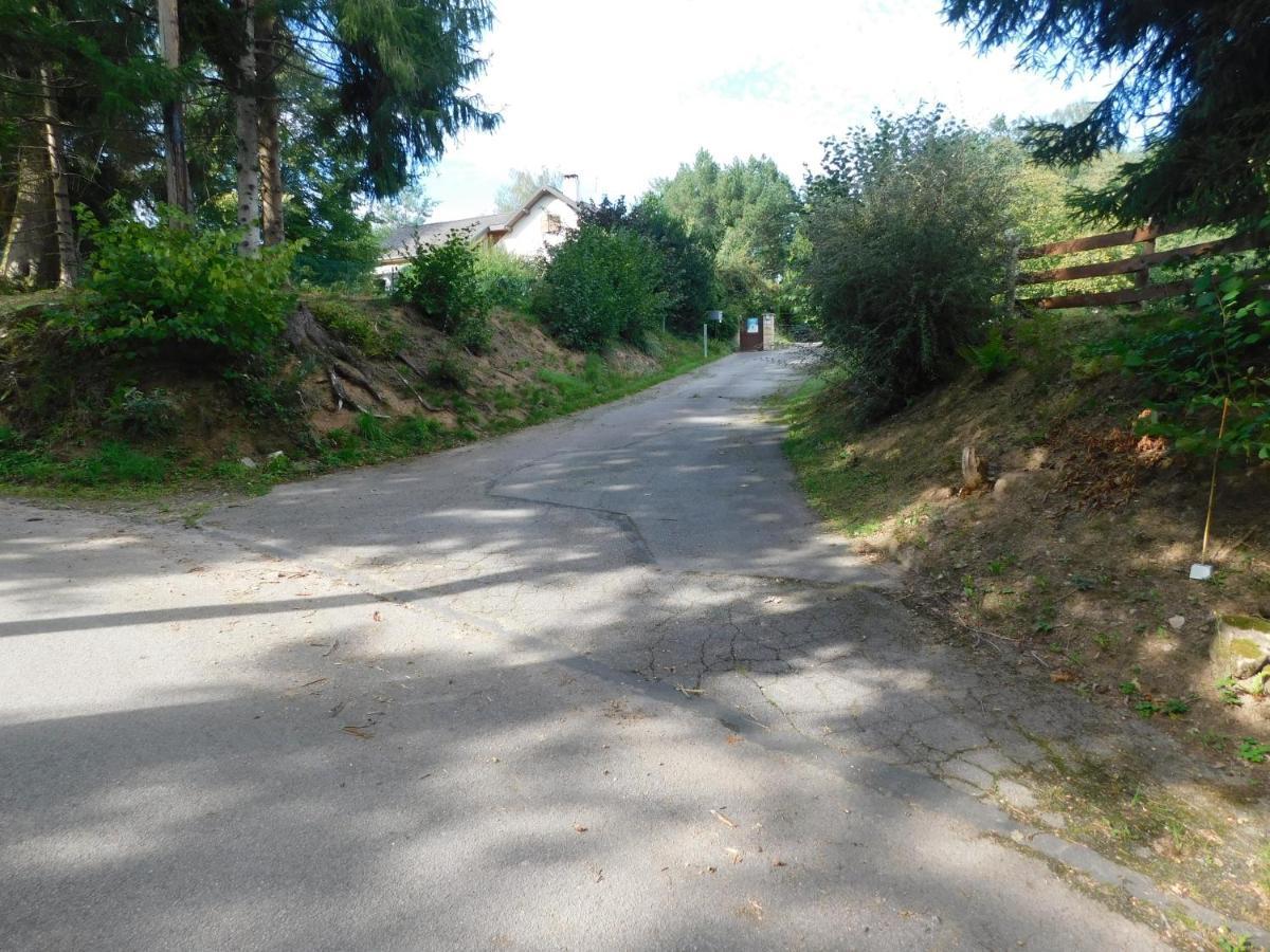 L'Amandaure Bed and Breakfast Saulcy-sur-Meurthe Buitenkant foto